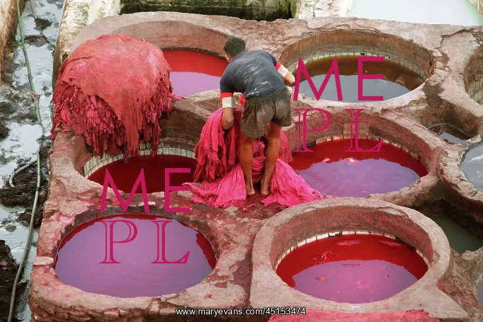 : Fez. View from behind of a tanner lifting heavy wet skins : Fez. View from behind of a tanner lifting heavy wet skins