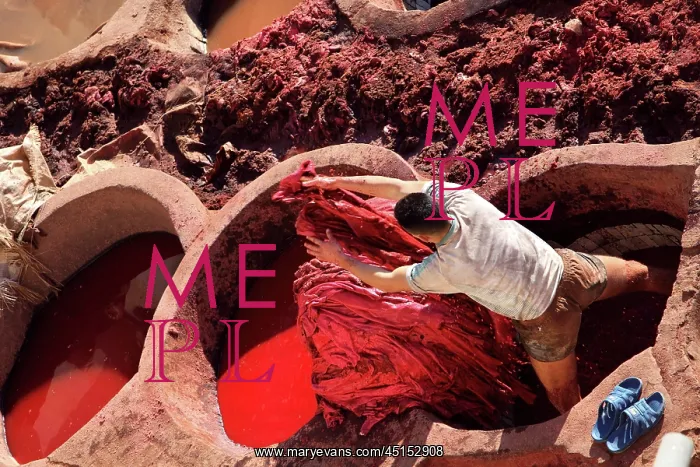  : Fez. View from above of a tanner throwing skins into a pit of red dye