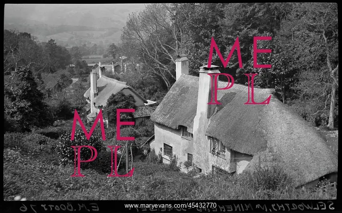 : View of thatched cottages in Selworthy : View of thatched cottages in Selworthy