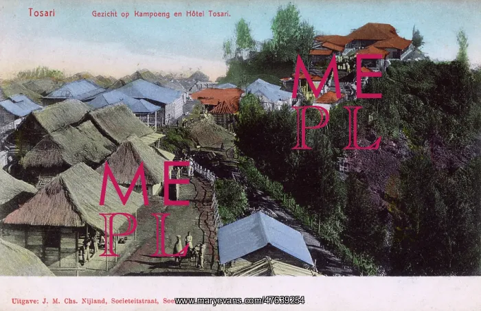 : View of Tosari, East Java, Indonesia : View of Tosari, East Java, Indonesia