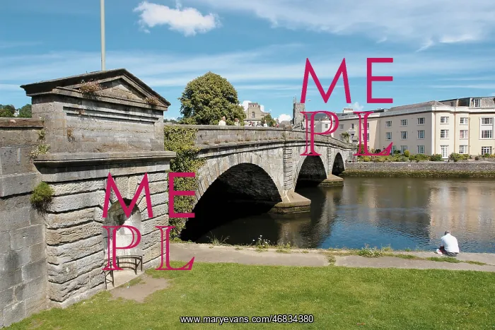 : View of Totnes, Devon, with bridge : View of Totnes, Devon, with bridge