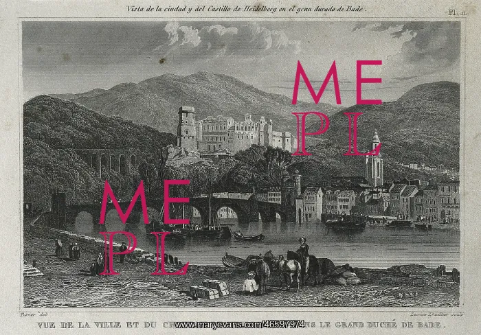 : View of the town and the castle of Heidelberg : View of the town and the castle of Heidelberg