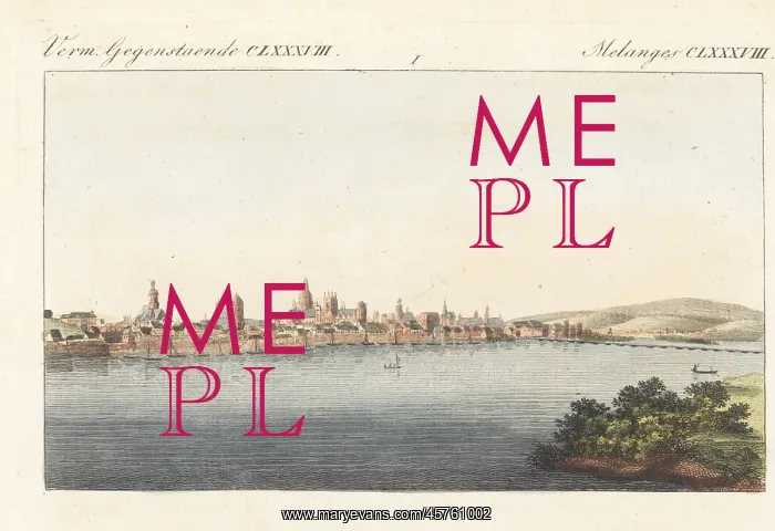 : View of the town of Mainz on the Rhine, Germany, 1800s : View of the town of Mainz on the Rhine, Germany, 1800s