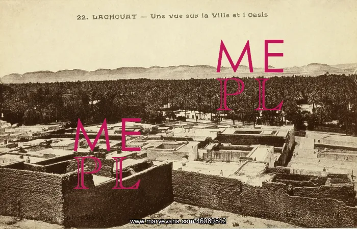 : A view of the town and the oasis, Laghouat : A view of the town and the oasis, Laghouat