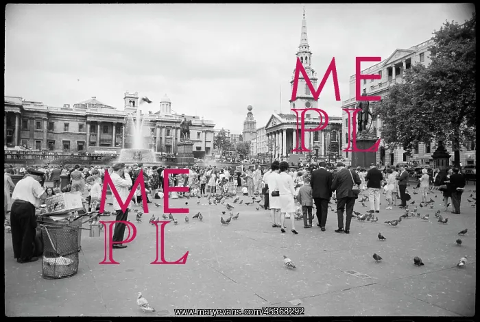 : A view of Trafalgar Square : A view of Trafalgar Square