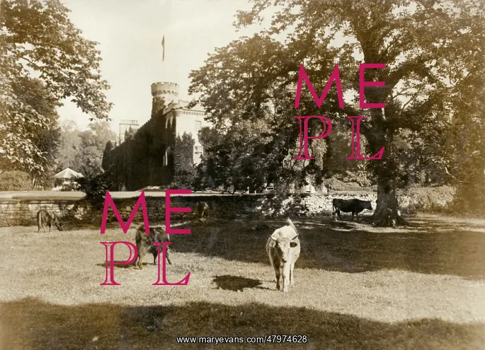 : View of Tulloch Castle, Scotland : View of Tulloch Castle, Scotland