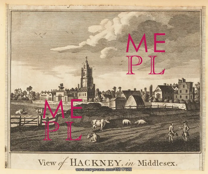 : View of the village of Hackney in Middlesex, 1784 : View of the village of Hackney in Middlesex, 1784