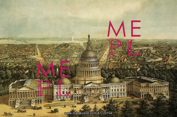 : View of Washington 1871 : View of Washington 1871