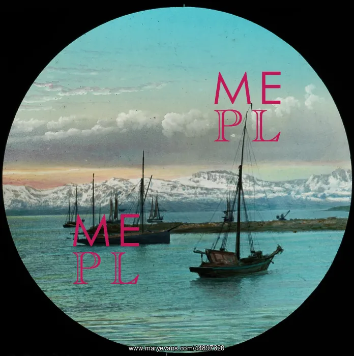 : View across water showing five sail boats : View across water showing five sail boats