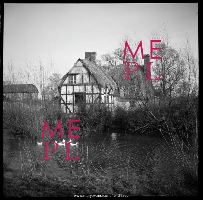 : View from the west across a pond towards Artist's Cottage : View from the west across a pond towards Artist's Cottage