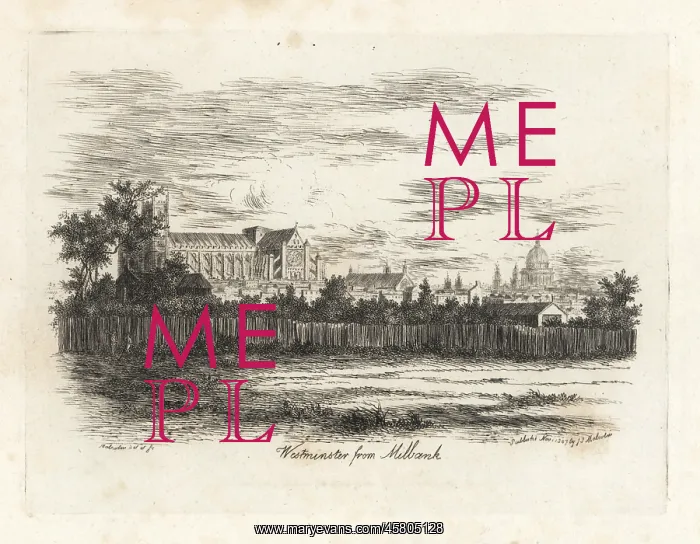 : View of Westminster Abbey from Milbank, 1807 : View of Westminster Abbey from Milbank, 1807