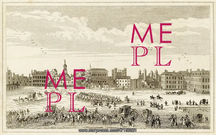 : View of Whitehall from St James's Park, London : View of Whitehall from St James's Park, London