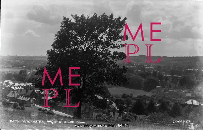 : View of Winchester from St. Giles Hill : View of Winchester from St. Giles Hill