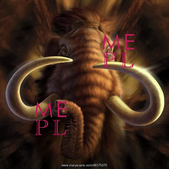 : Full on view of a Woolly Mammoth : Full on view of a Woolly Mammoth