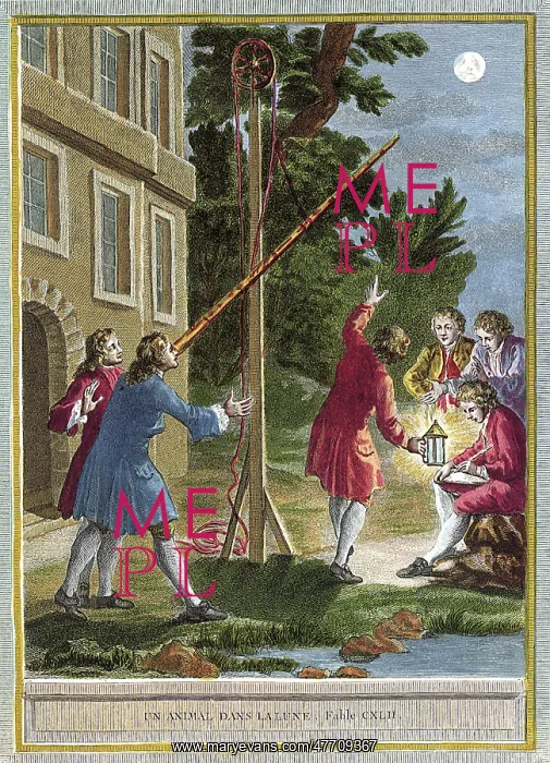 : Viewing the Moon : Viewing the Moon