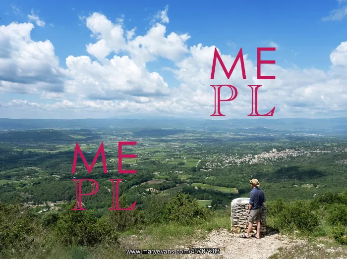 : Viewpoint, cedar forest, Petit Luberon, Provence, France : Viewpoint, cedar forest, Petit Luberon, Provence, France