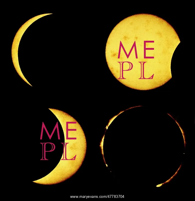 : Views of the Great Solar Eclipse, 1869 : Views of the Great Solar Eclipse, 1869