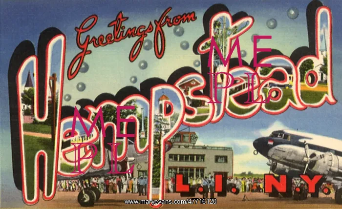  : Views of Hempstead