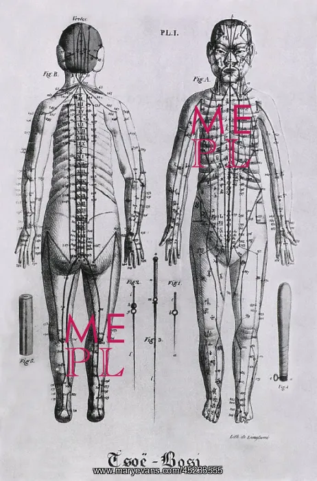  : Front and back views of a human figure with ?
