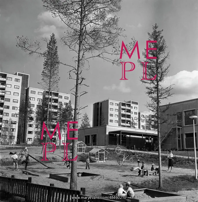 : Views of Kostomuksha : Views of Kostomuksha