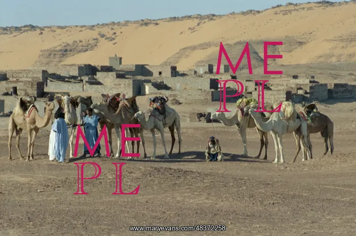 : Views of Mauritania : Views of Mauritania