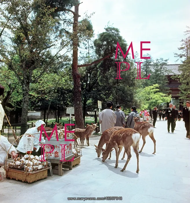 : Views of Nara : Views of Nara