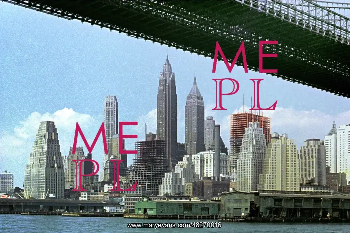 : Views of New York : Views of New York