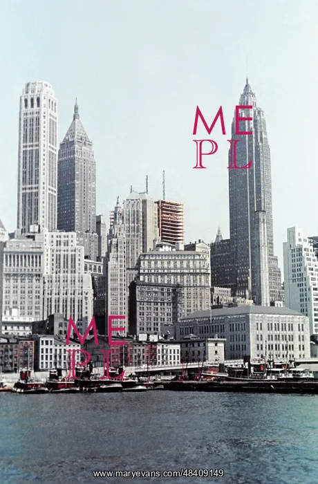 : Views of New York : Views of New York