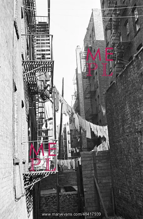 : Views of New York : Views of New York