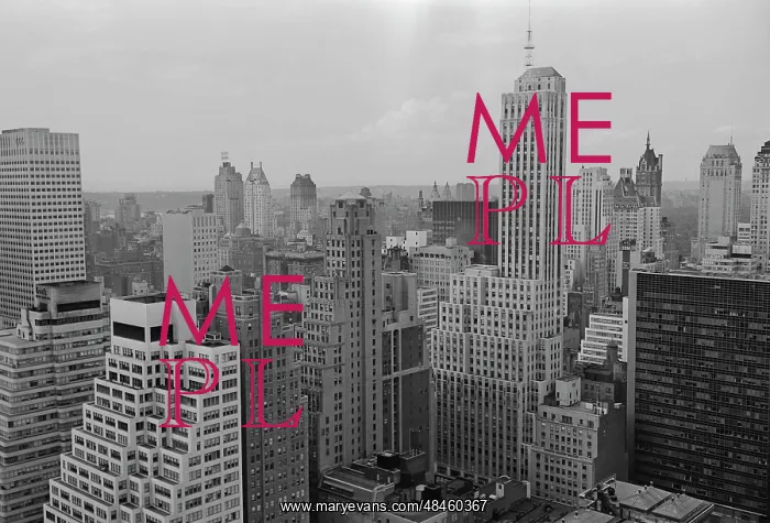: Views of New York : Views of New York