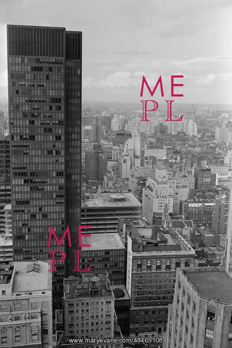 : Views of New York : Views of New York