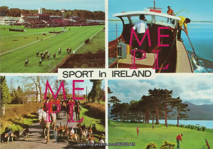 : Four views, Sport in Ireland : Four views, Sport in Ireland