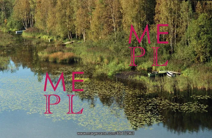 : Views of Valdai : Views of Valdai