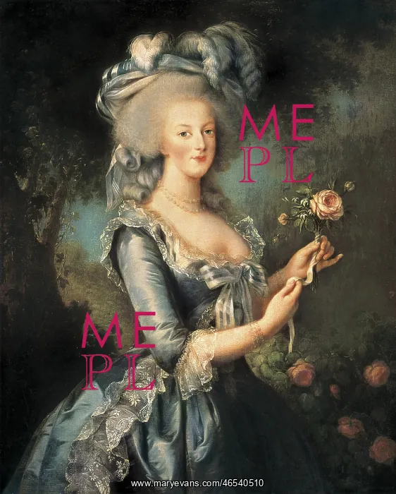 : Vigee-Lebrun, Elisabeth (1755-1842). Marie-Antoinette : Vigee-Lebrun, Elisabeth (1755-1842). Marie-Antoinette