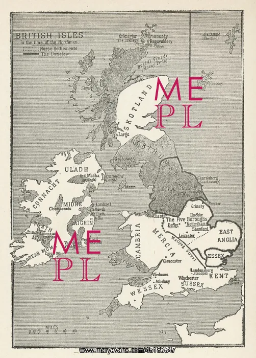 : VIKING BRITAIN MAP : VIKING BRITAIN MAP
