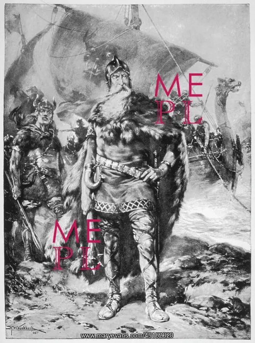 : VIKING ON BRITISH SHORE : VIKING ON BRITISH SHORE