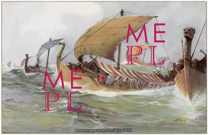 : Viking Raiding Fleet : Viking Raiding Fleet