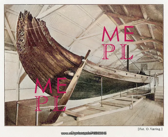 : Viking Ships : Viking Ships
