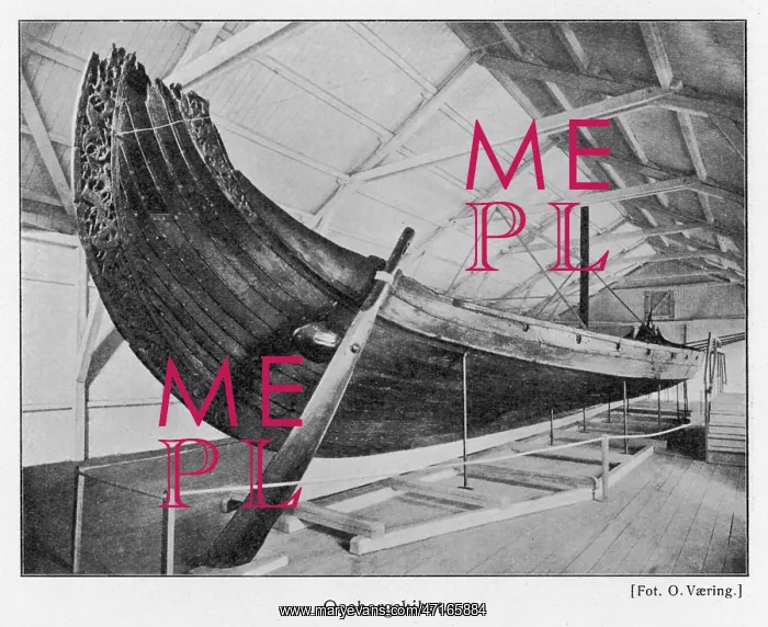 : Viking Ships : Viking Ships