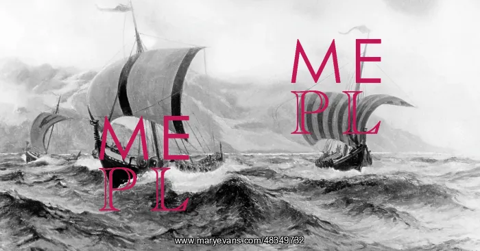 : Viking ships : Viking ships