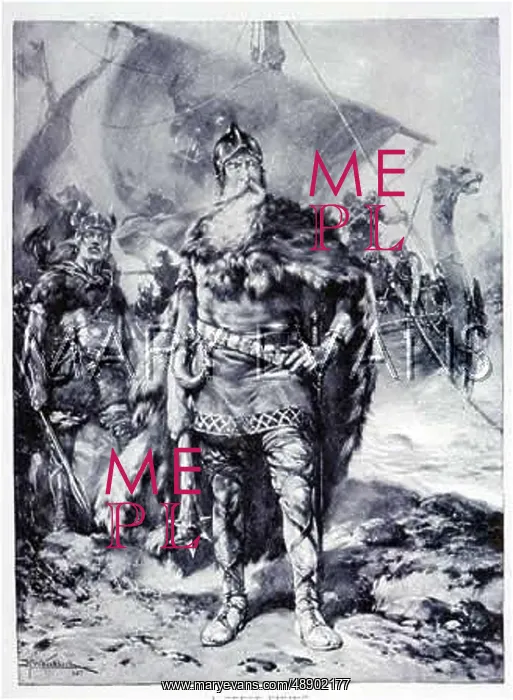 : A VIKING WARRIOR : A VIKING WARRIOR
