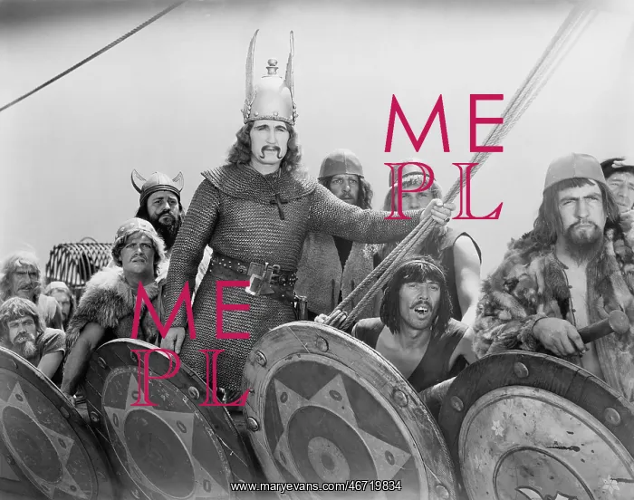 : VIKING WARRIORS : VIKING WARRIORS