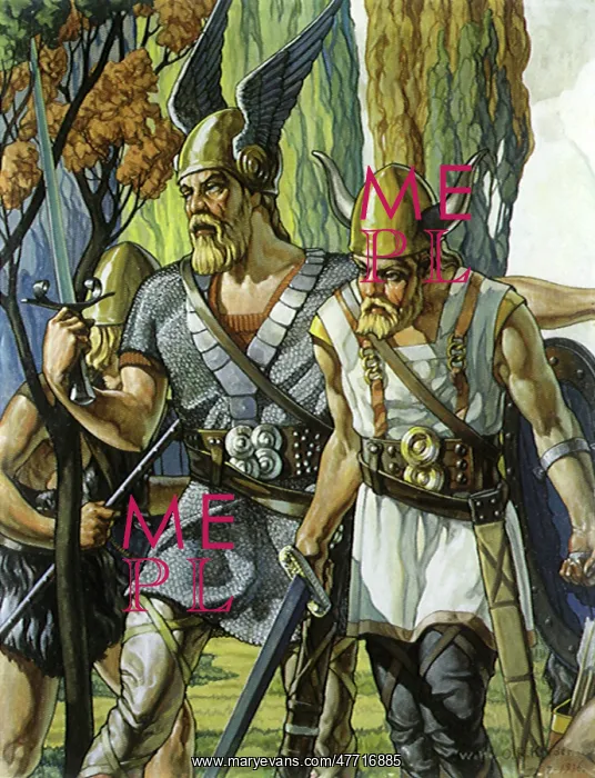  : Vikings