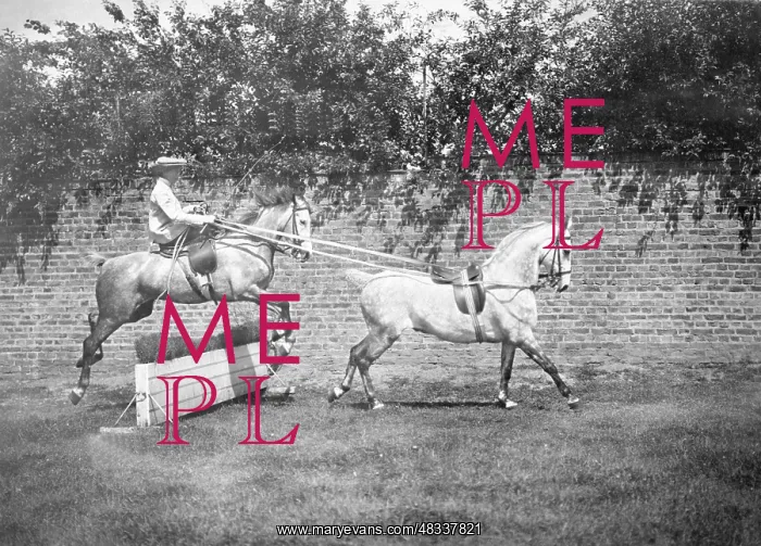 : Viktoria of Schaumburg-Lippe at show jumping, 1907 : Viktoria of Schaumburg-Lippe at show jumping, 1907