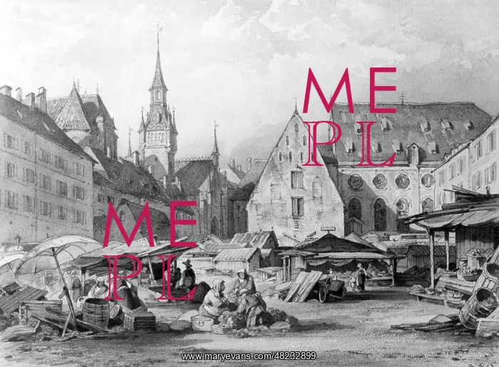 : Viktualienmarkt in Manchen, 1882 : Viktualienmarkt in Manchen, 1882