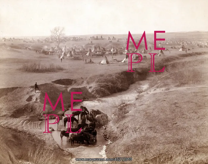 : Villa of Brule. A Lakota Sioux tipi camp ? : Villa of Brule. A Lakota Sioux tipi camp ?