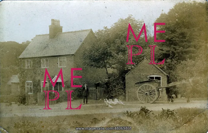 : The Village : The Village