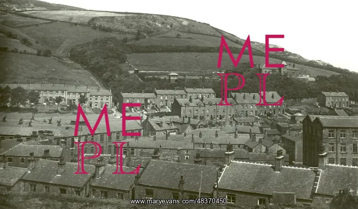: The Village : The Village