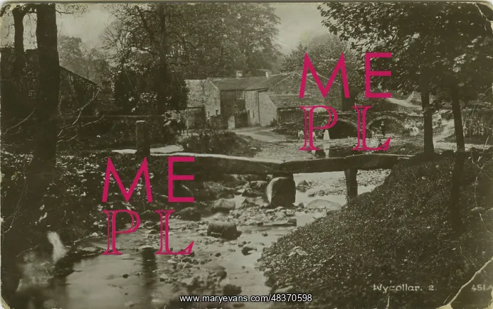 : The Village : The Village