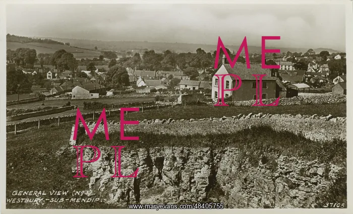 : The Village : The Village